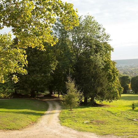 La Clairiere De La Reine Hortense - Pierres D'Histoire Saint-Prix  Eksteriør billede